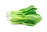 Fresh pak choi cabbage or chinese cabbage