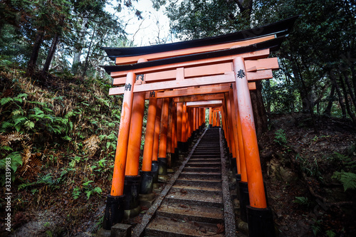 Great  Red Torii of Fushimi Inari Shrine  Kyoto  Japan