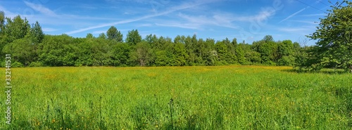 Panoramic view of field of green grass and blue sky