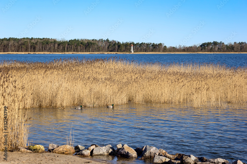View of a peaceful Bodden landscape on the Baltic Sea with blue sky, near the town of Barth