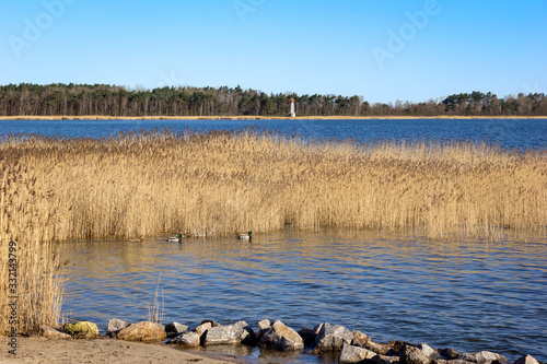 View of a peaceful Bodden landscape on the Baltic Sea with blue sky, near the town of Barth