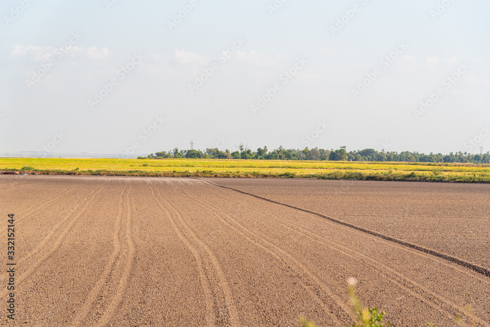 Soil prepared for planting and in the background a dryland rice plantation Soil prepared for planting and in the background a dryland rice plantation