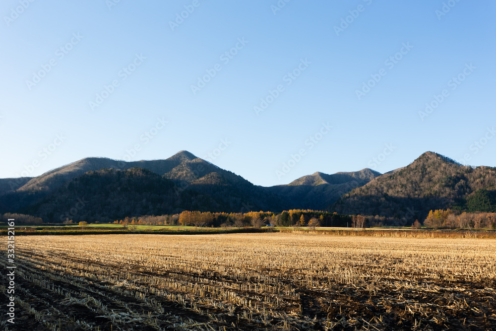 Fototapeta premium 日本・北海道東部の国立公園、秋の弟子屈町