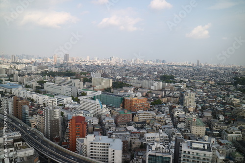 高層ビル（キャロットタワー）からの東京を眺める © acchity