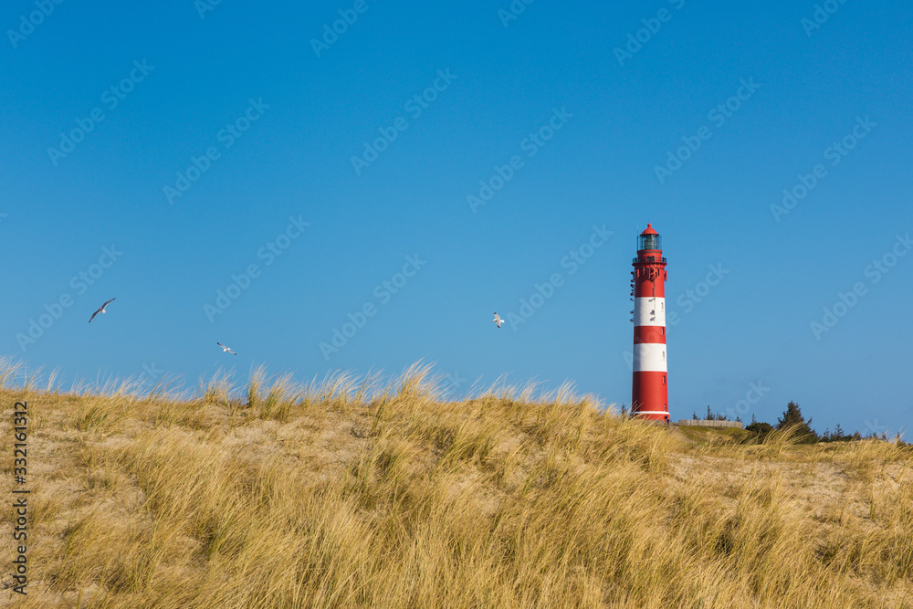 Lighthouse of Amrum, dunes in foreground, flying seagulls