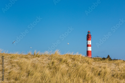 Lighthouse of Amrum  dunes in foreground  flying seagulls