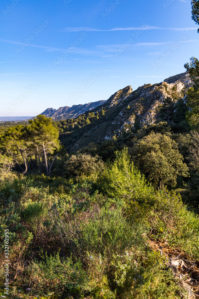 Paysage du Plateau de la Caume, dans le parc naturel régional des Alpilles, à Saint-Rémy-de-Provence.