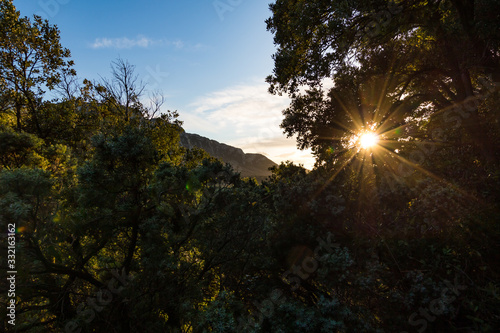 Lumière rasante du coucher de soleil sur la végétation et le Pic Saint-Loup (Occitanie, France)