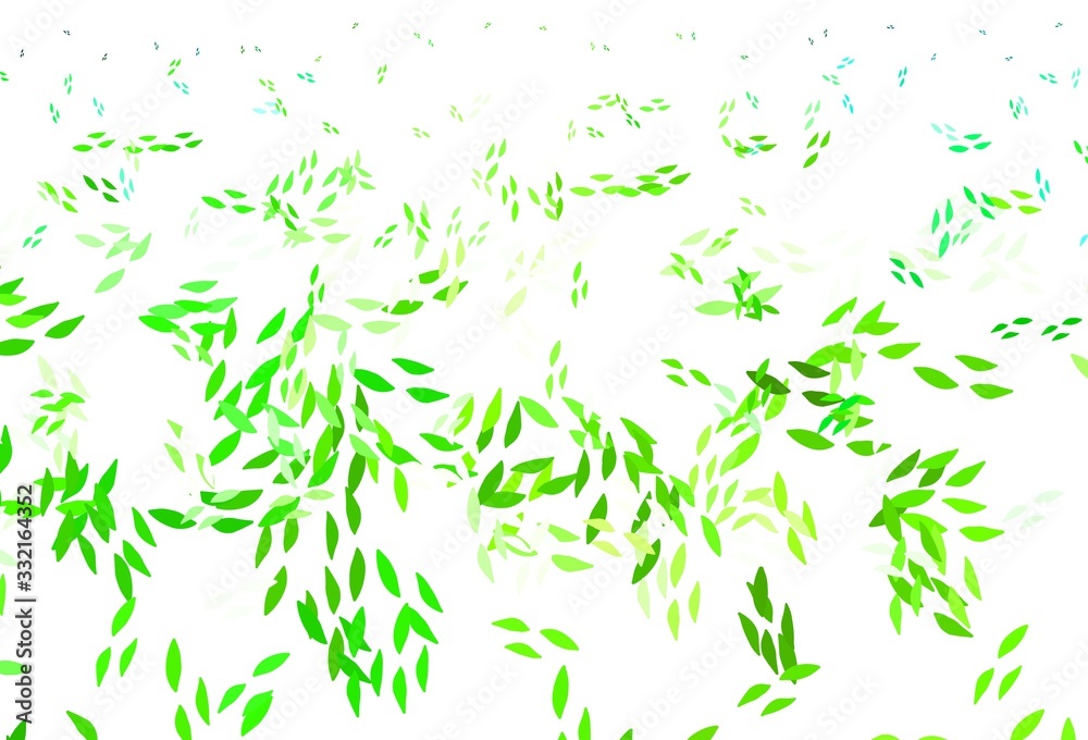 Obraz premium Light Green vector doodle template with leaves.