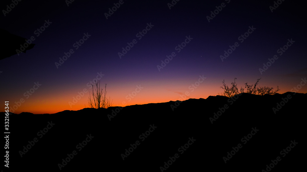 Sonnenaufgang hinter einer Baumsilhouette Sonnenaufgang hinter einer Baumsilhouette