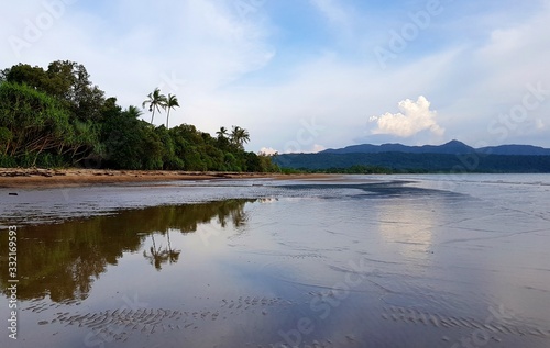 Fototapeta Naklejka Na Ścianę i Meble -  Palm trees reflecting in the water on a tropical beach on Coron Island Philippines