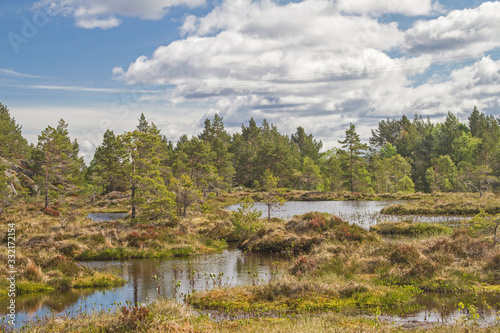 Moorlandschaft auf der Atlantikinsel Tustna photo