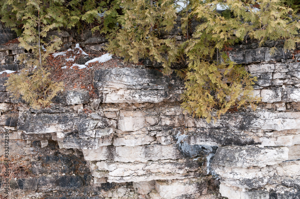 450 million year old Niagara Escarpment dolomite stone ridge near Green Bay shoreline..