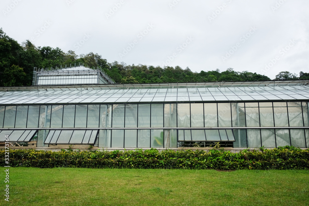 Greenhouse and conservatory at Queen Sirikit Botanic Garden and Arboretum, Climber trail for study about Various plant species. Greenhouse and conservatory at Queen Sirikit Botanic Garden and Arboretum, Climber trail for study about Various plant species.