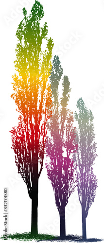 Magic poplar trees