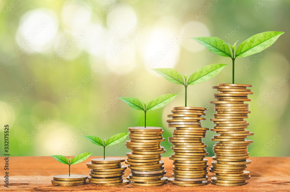 green plant growing on golden coin stacking on wood table in park with blur nature background. business financial banking saving concept. investment profit income. startup growth success. green plant growing on golden coin stacking on wood table in park with blur nature background. business financial banking saving concept. investment profit income. startup growth success.