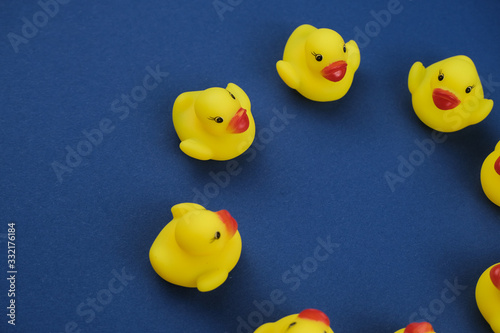 Close up of a rubber duck on the royal blue background.