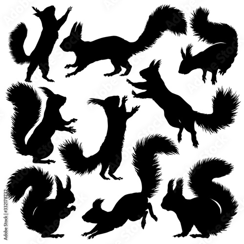 Squirrel silhouette. Set. Vector illustration isolated on white background