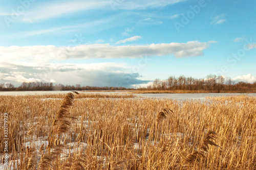 Winter  early spring landscape. Sunny day. Frozen river  trees  yellow dry reed on snow banks.