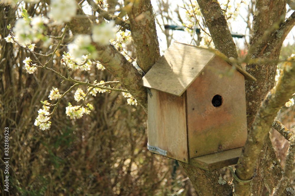 Cabane à oiseaux Cabane à oiseaux