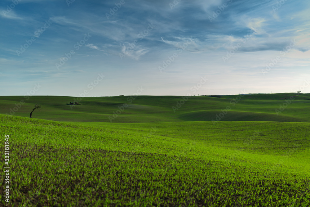 A wonderful panorama of beautifully undulating green Moravian fields with a lonely tree and an islet A wonderful panorama of beautifully undulating green Moravian fields with a lonely tree and an islet