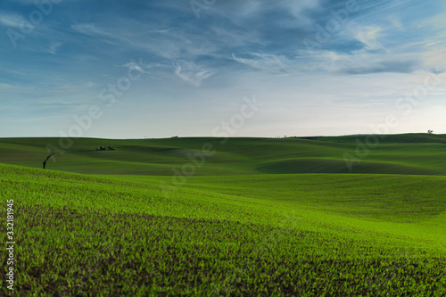 A wonderful panorama of beautifully undulating green Moravian fields with a lonely tree and an islet