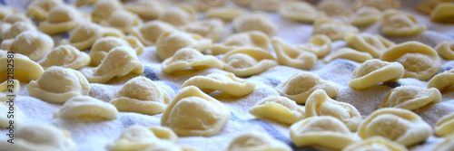 Fresh homemade italian pasta orecchiette. Healthy food concept.