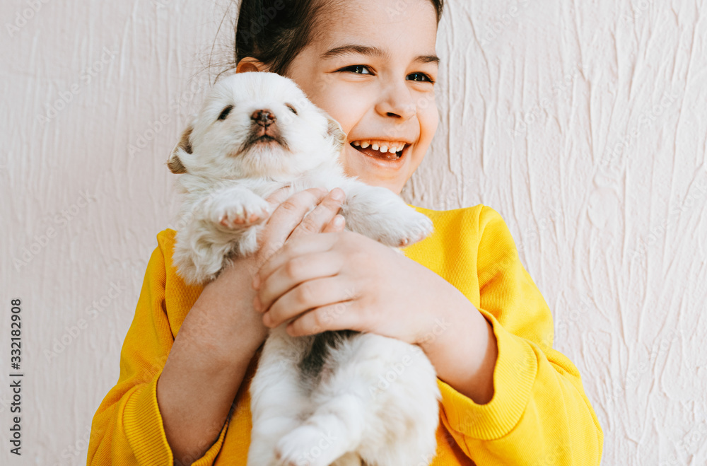 Closeup portrait of a smiling happy child playing at home with a little dog. Pretty little girl cares about the puppy. Adorable kid playing with her pet at the carpet in the room on a sunny day. Closeup portrait of a smiling happy child playing at home with a little dog. Pretty little girl cares about the puppy. Adorable kid playing with her pet at the carpet in the room on a sunny day.