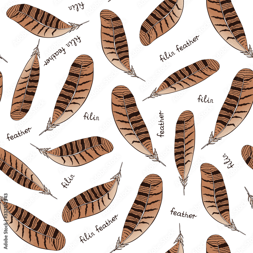 The color pattern of the feathers of a bird. Illustration of filin feathers The color pattern of the feathers of a bird. Illustration of filin feathers