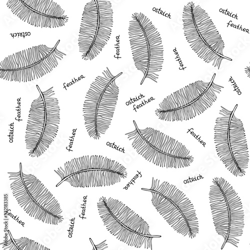 Black and white pattern of the feathers of a bird. Illustration of ostrich feathers