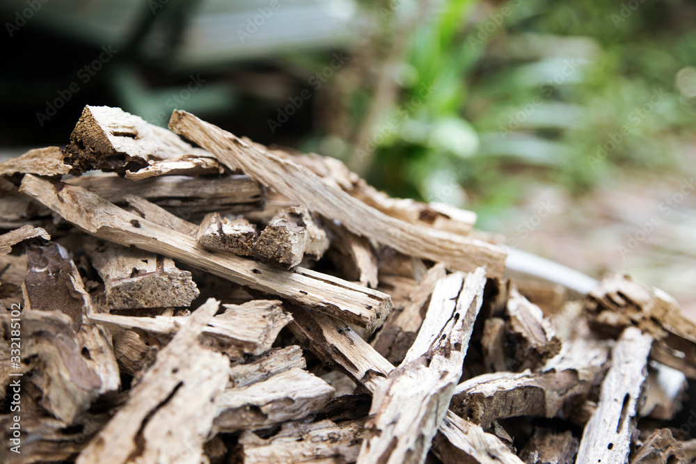 dry wood for making fuel and coal dry wood for making fuel and coal