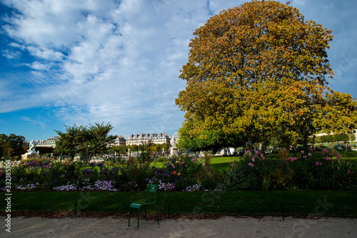 Bench and tree in Jardin des Tuileries, Pairs