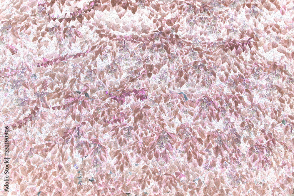 Fototapeta premium texture for design