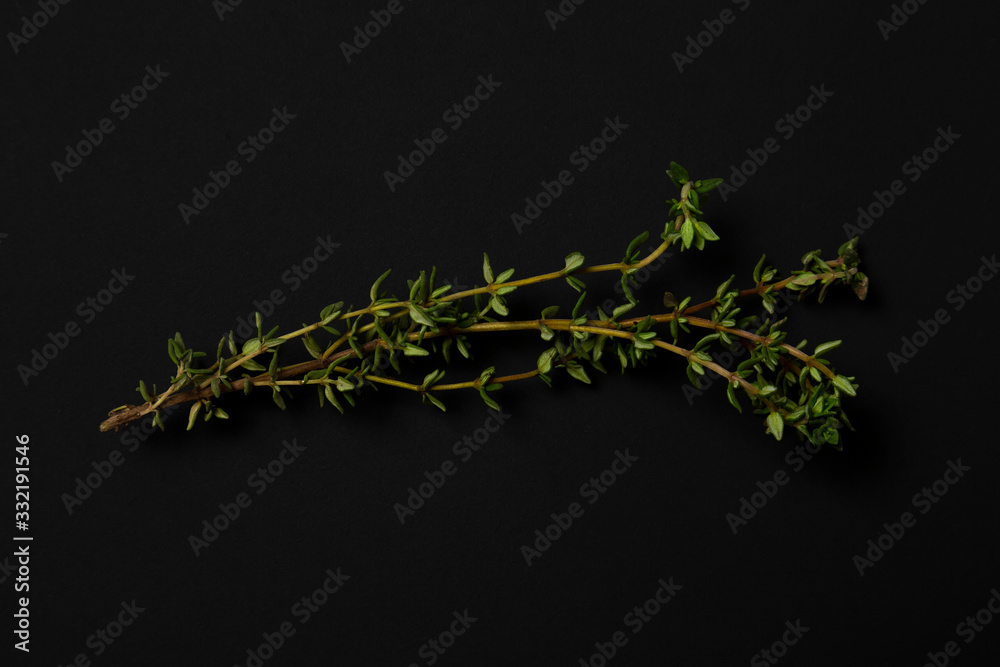 Thyme thems on a black background. minimalistic, modern Thyme thems on a black background. minimalistic, modern