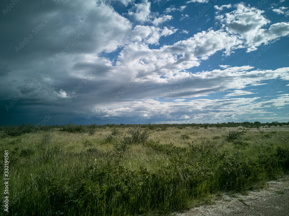 clouded field with special sky