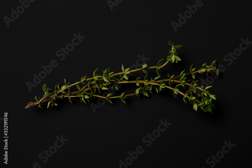 Thyme thems on a black background. minimalistic, modern