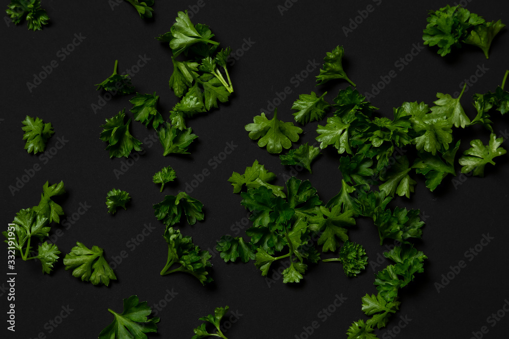 parsley on a black background. minimalistic, modern, with copy space parsley on a black background. minimalistic, modern, with copy space