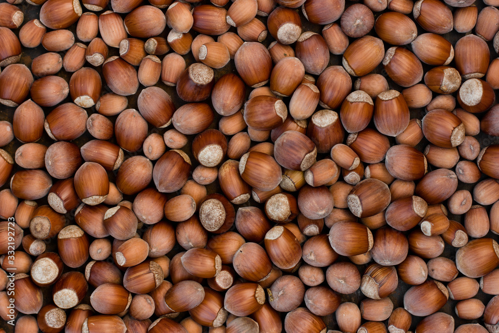 Natural texture: macro shot of hazelnut Natural texture: macro shot of hazelnut