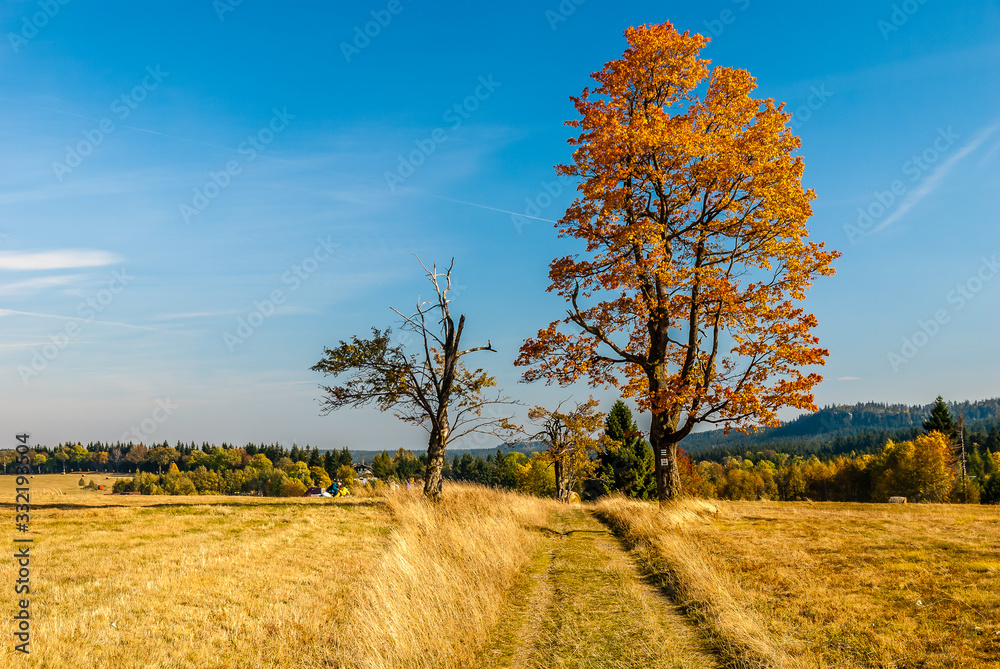 Autumn in Poland - colorful fields and trees in Stoowe Mountains in Lower Silesia - Dolny Slask Region in Karlow, Poland