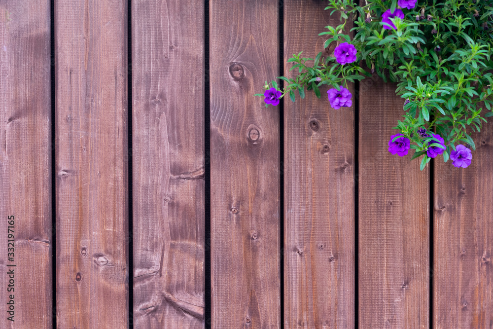 Background made of dark old-fashioned wood with small violet flowers and leaves. Unpainted blank background with vertical stripes with copy space. Background made of dark old-fashioned wood with small violet flowers and leaves. Unpainted blank background with vertical stripes with copy space.