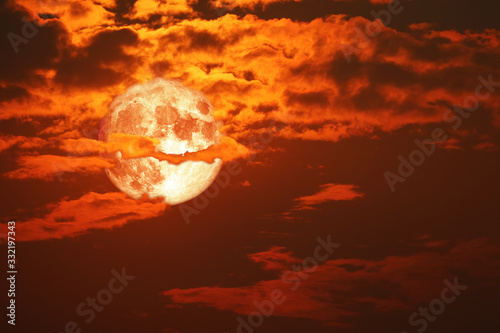 wolf blood moon back on silhouette red orange cloud and night sky