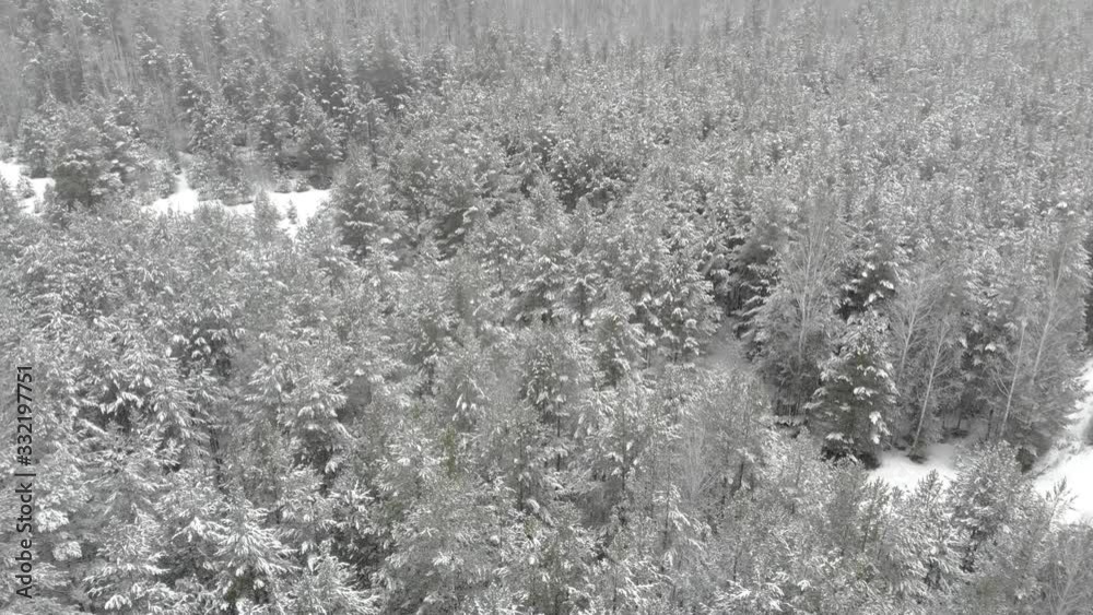 top down aerial view of snow covered forest top down aerial view of snow covered forest