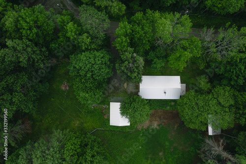 Houses in the forest