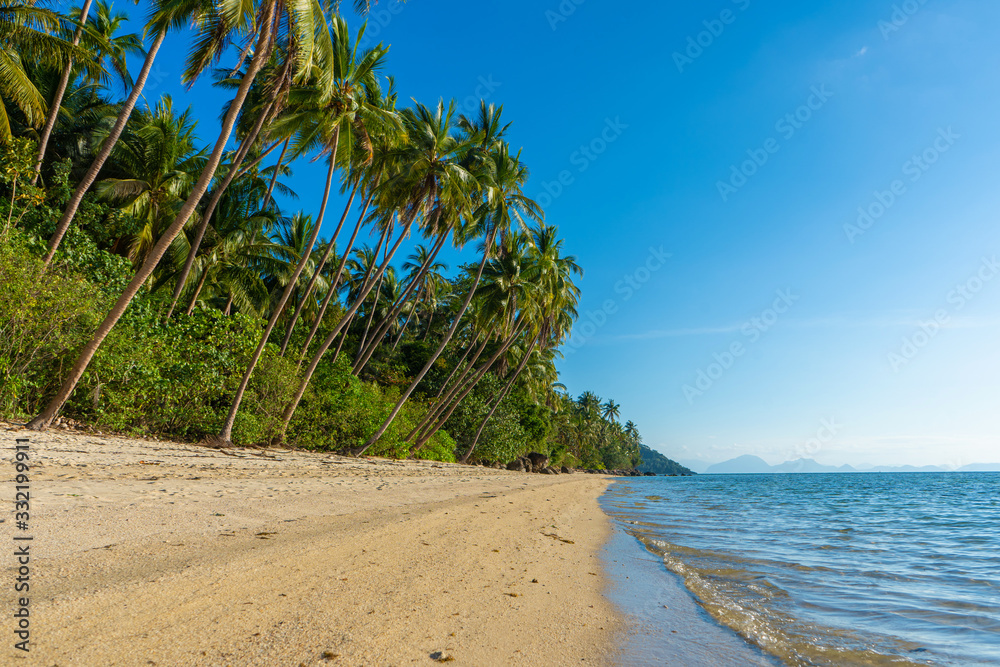 Sandy beach of a paradise deserted tropical island. Palm trees overhang on the beach. White sand. Blue water of the ocean. Rest away from people