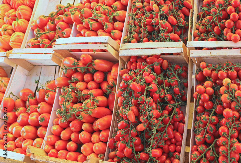 tomatoes of various qualities for sale in the boxes of the green tomatoes of various qualities for sale in the boxes of the green