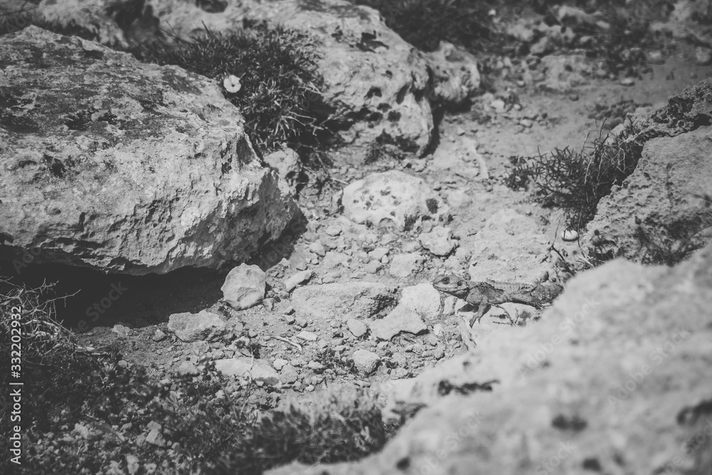Black white photo of stones, rocks