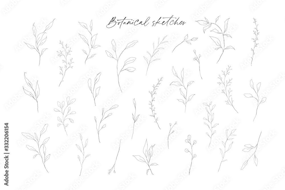 Botanical line art leaves hand drawn pencil sketches isolated on white background. Fine art floral elegant delicate graphic clipart for wedding invitation card. Vector illustration