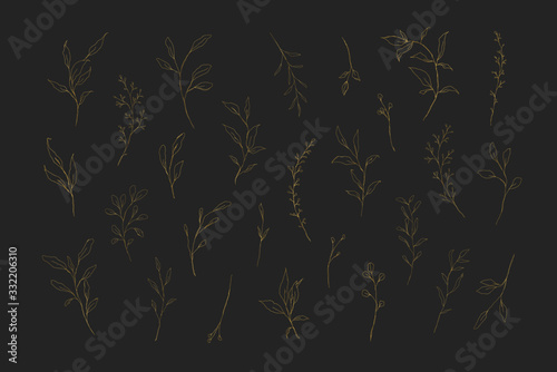 Botanical line art golden leaves hand drawn pencil sketches isolated on white background. Fine art floral elegant delicate graphic clipart for wedding invitation card. Vector illustration