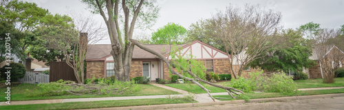 Panoramic fallen maple tree branch on sidewalk of residential house near Dallas, Texas, America