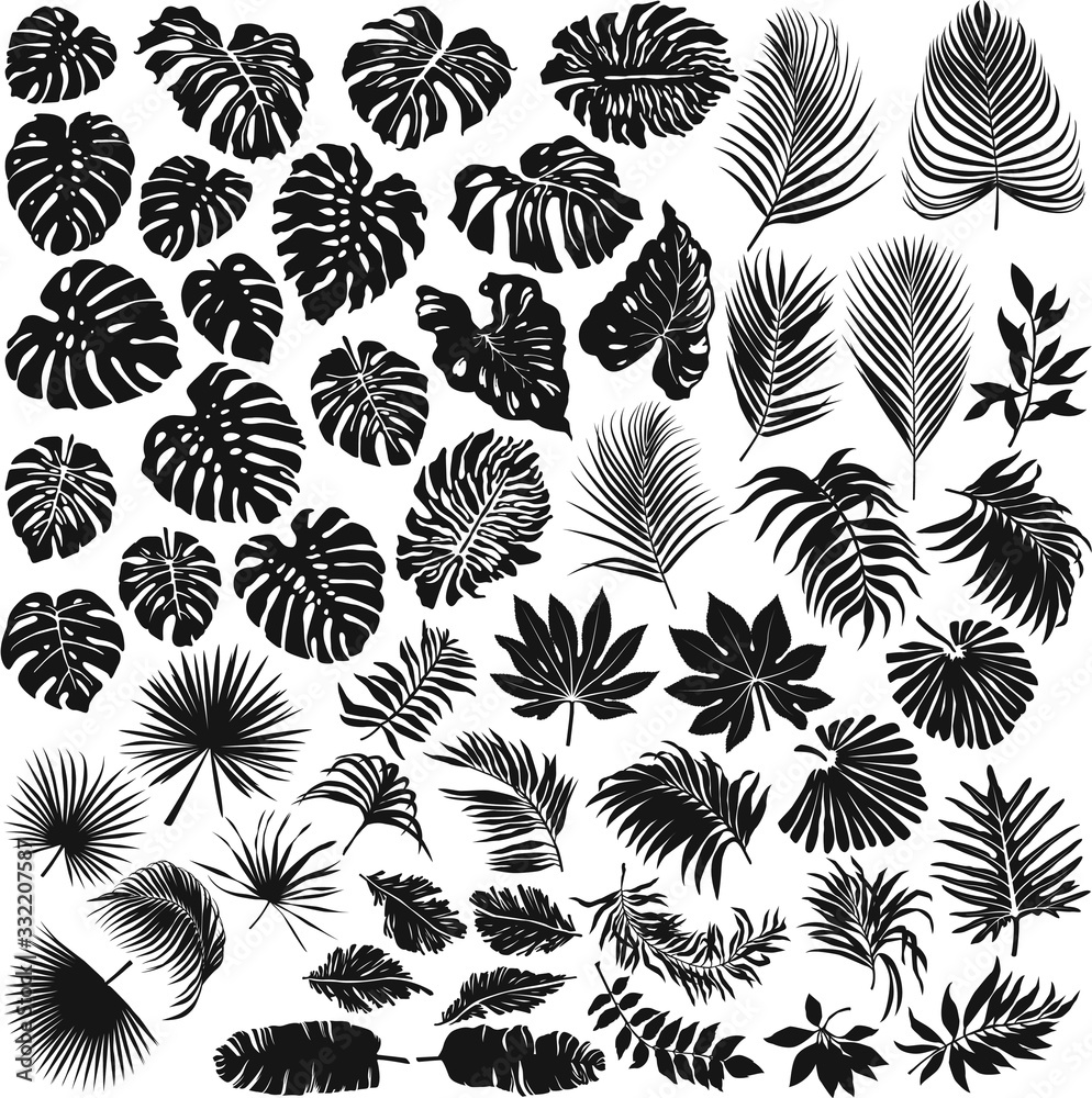 Tropical leaves vector silhouette collection - obrazy, fototapety, plakaty 